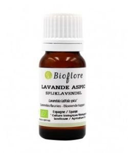 Lavande aspic (Lavandula latifolia spica) BIO, 30 ml
